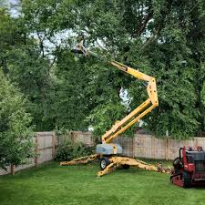 Lawn Grading and Leveling in Reading, MI